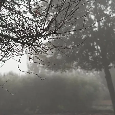 فندق مبيت وإفطار Au Pichet