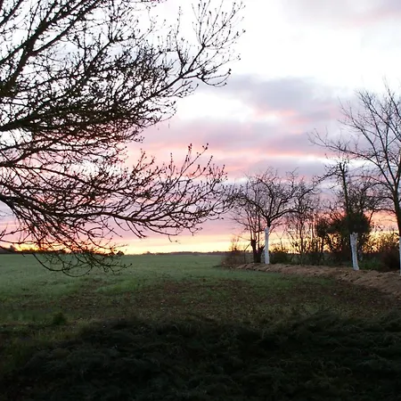 奥皮切尔特住宿加早餐旅馆 3* Saint-Orens