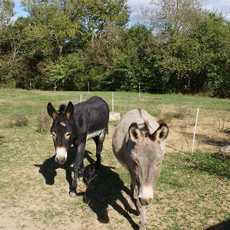 Couette-café Au Pichet