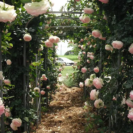 Au Pichet Bed and Breakfast Saint-Orens